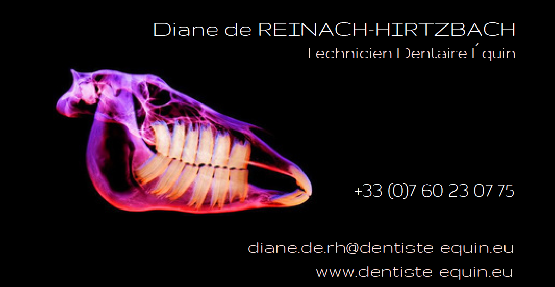 Diane de Reinach-Hirtzbach